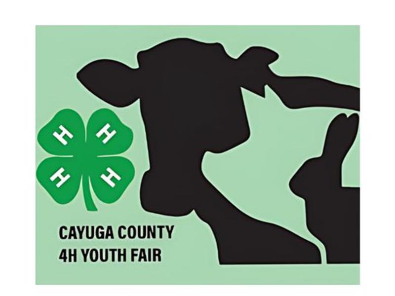 Fair Logo